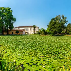 Vista lago Villa Parco Bolasco